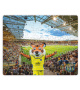 Puzzle CASSI 